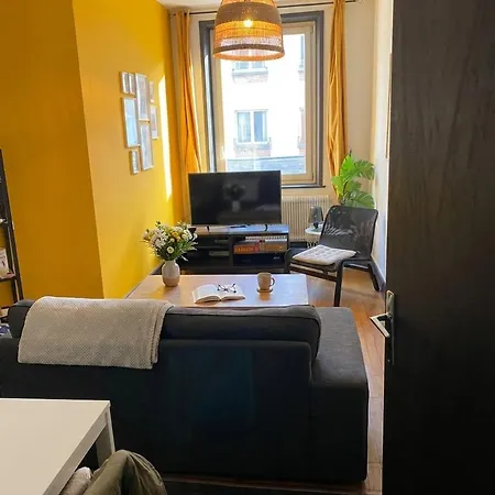 Daire Cozy Apartment, A Short Walk To Place Stan Nancy